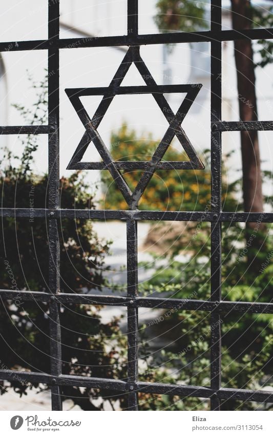 Fence with a Star of David, symbol of Judaism, in front of a synagogue Synagogue religion Iron Garden Religion and faith Israel