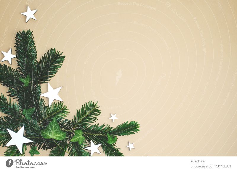 Christmas decoration (3) Star (Symbol) Fir branch Christmas & Advent Card Decoration flatlay Neutral Background a lot of free text space Ivy Foliage plant