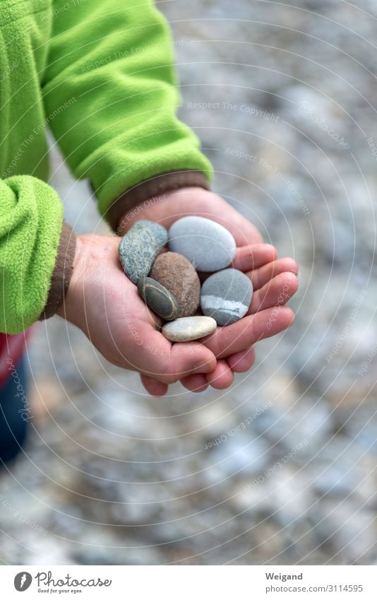 pebble Harmonious Kindergarten Child Boy (child) 3 - 8 years Infancy Stone Sustainability Goodness Humanity Solidarity Help To console Grateful Sadness Concern