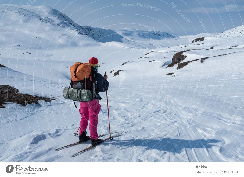 Distant destinations, adventurer looks into the wide mountain world Adventure Winter Snow Winter vacation Winter sports Young woman Youth (Young adults) Nature