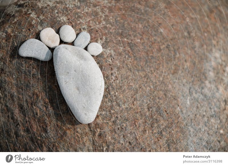 Footprint of the right foot from six flat stones Vacation & Travel Summer Art Nature Earth Coast Baltic Sea Stone Sign Brown Gray White Serene Calm Esthetic