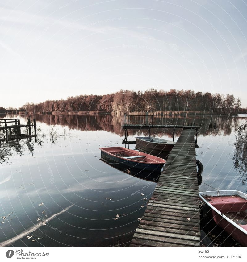 Still Environment Nature Landscape Water Sky Horizon Autumn Beautiful weather Tree Forest Lakeside Rowboat Footbridge Jetty Wood Idyll Far-off places Calm