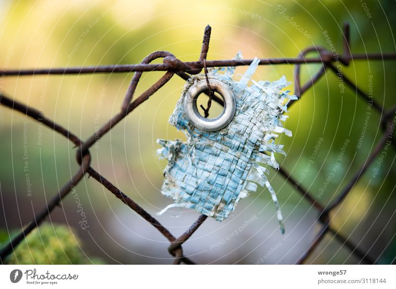 Trash! 2019 | eyelet Plastic Hang Old Round Blue Brown Green Decline Destruction Remainder Covers (Construction) Eyelet Wire netting fence Rust Weathered