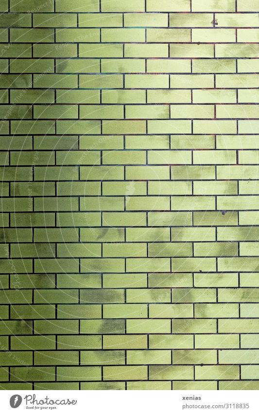 green wall Town Train station Wall (barrier) Wall (building) Tunnel Underground Stone Line Green Background picture Rectangle Tile Colour photo Exterior shot