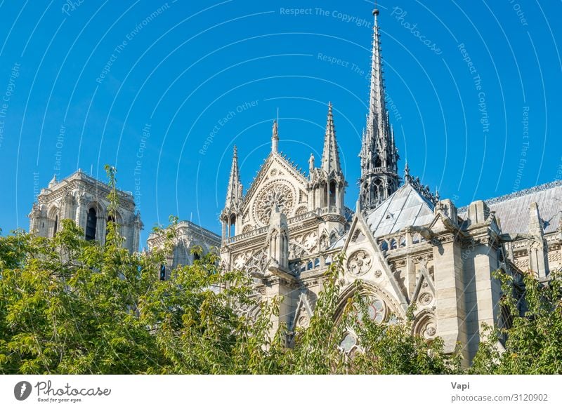 Notre Dame de Paris Style Vacation & Travel Tourism Trip Sightseeing City trip Summer Summer vacation Museum Sculpture Architecture Culture Landscape Sky