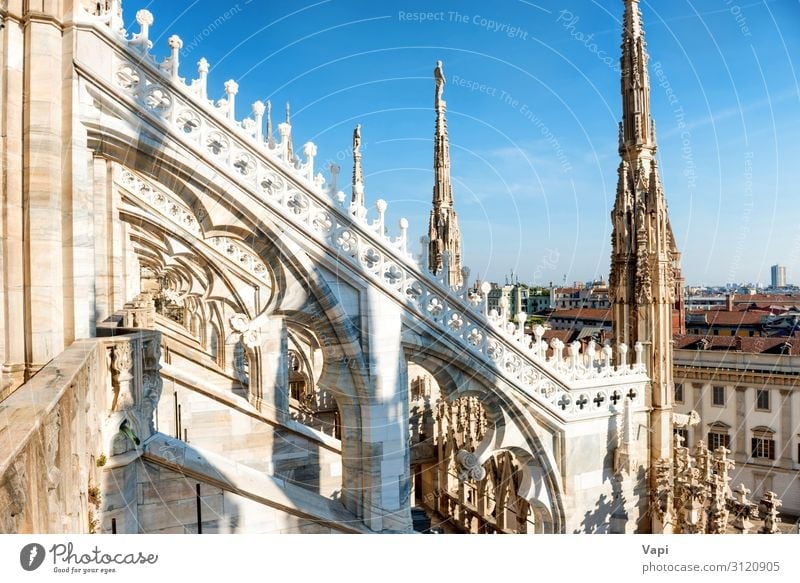 White statue on top of Duomo cathedral Vacation & Travel Tourism Trip Sightseeing City trip Summer Summer vacation Decoration Museum Sculpture Architecture