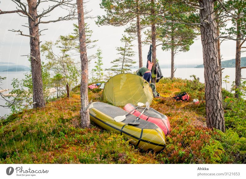 island conquest Contentment Relaxation Calm Vacation & Travel Adventure Nature Autumn Tree Pine Lakeside Island Scandinavia Tent camp Canoe