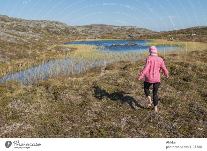 Barefoot in Fjell Vacation & Travel Trip Adventure Far-off places Freedom Young woman Youth (Young adults) Nature Mountain Bog Marsh Norway Discover Walking