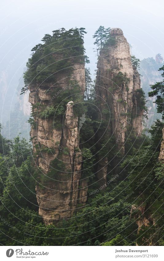 Zhangjiajie National Forest Park Vacation & Travel Tourism Sightseeing Nature Mountain Famousness Beautiful Asia asia travel China famous place hunan province