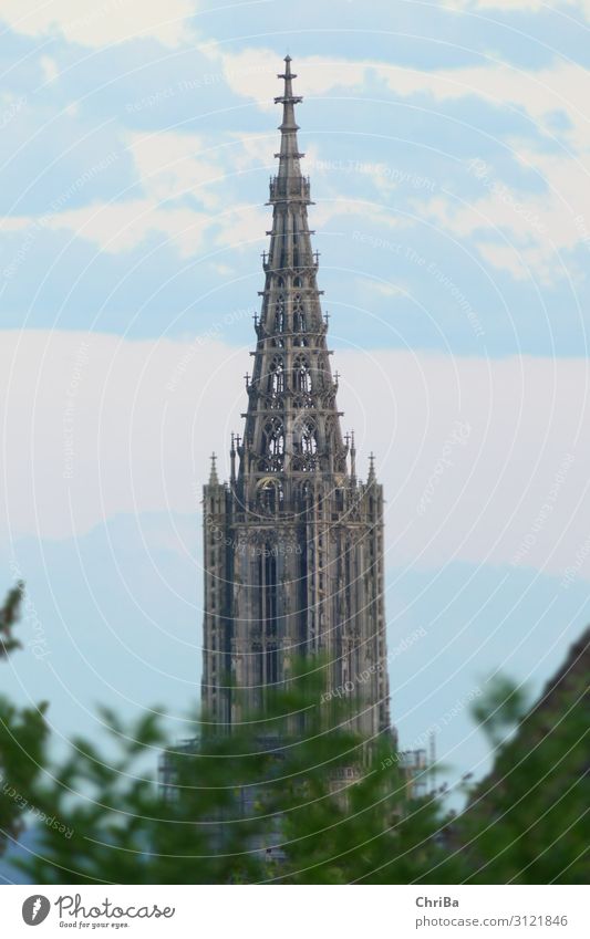 Ulm Cathedral Tower Architecture Culture Germany Europe Church Manmade structures Building Tourist Attraction Landmark Monument Religion and faith Art Past Time
