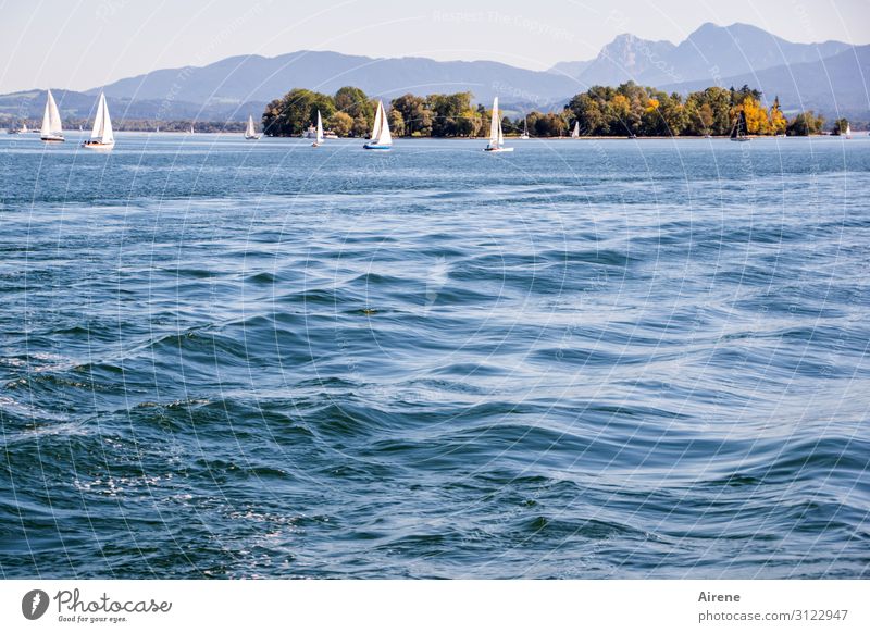 sailing weather Vacation & Travel Waves Sailing Beautiful weather Alps Island Lake Lake Chiemsee Chiemgau Relaxation Bright Clean Blue Happy Serene Calm