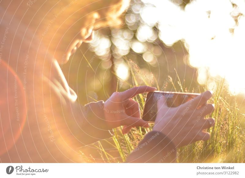 A woman backlit photographing the plants / grasses with smartphone Take a photo Cellphone Feminine Woman Adults Hand 1 Human being 45 - 60 years Nature Sunrise