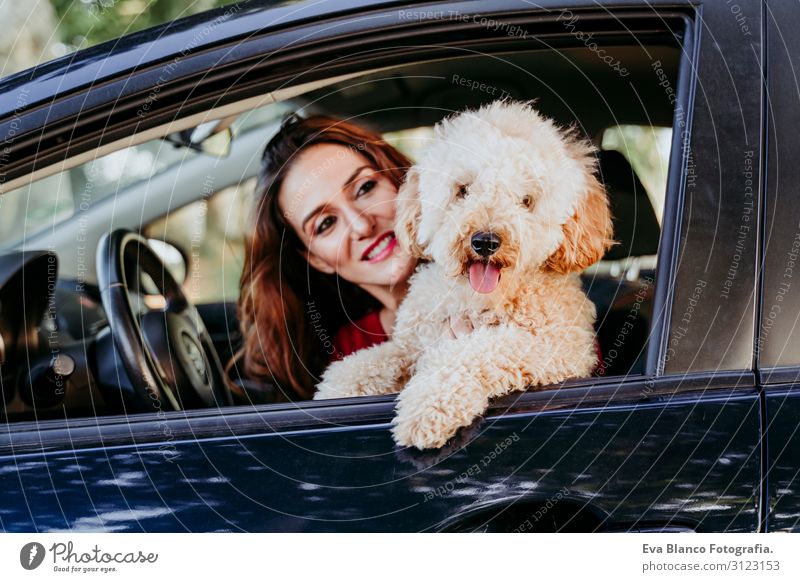 young caucasian woman with her poodle dog in a car. Travel concept. Lifestyle and pets Youth (Young adults) Woman Sunset Field Easygoing Back-light Cute