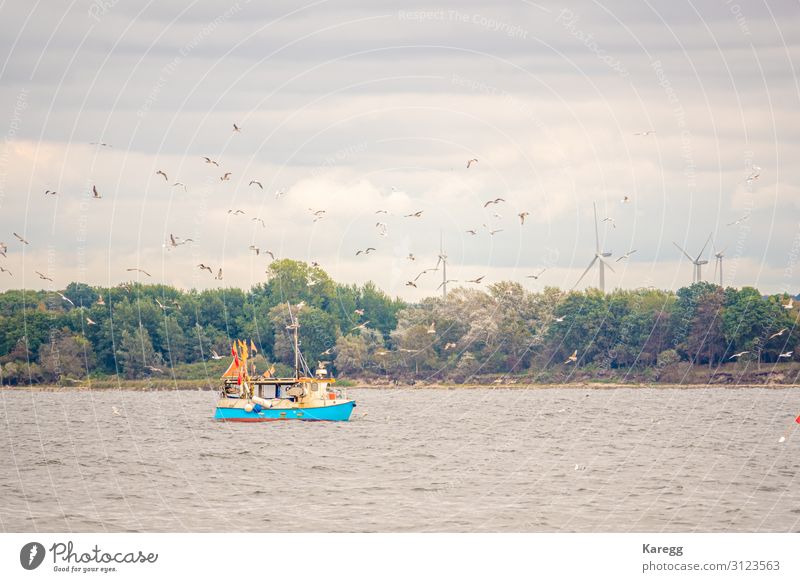 far on the sea floats a fishing boat Laboratory Profession Economy Agriculture Forestry Environment Nature Waves Coast Lakeside Fjord North Sea Baltic Sea Ocean