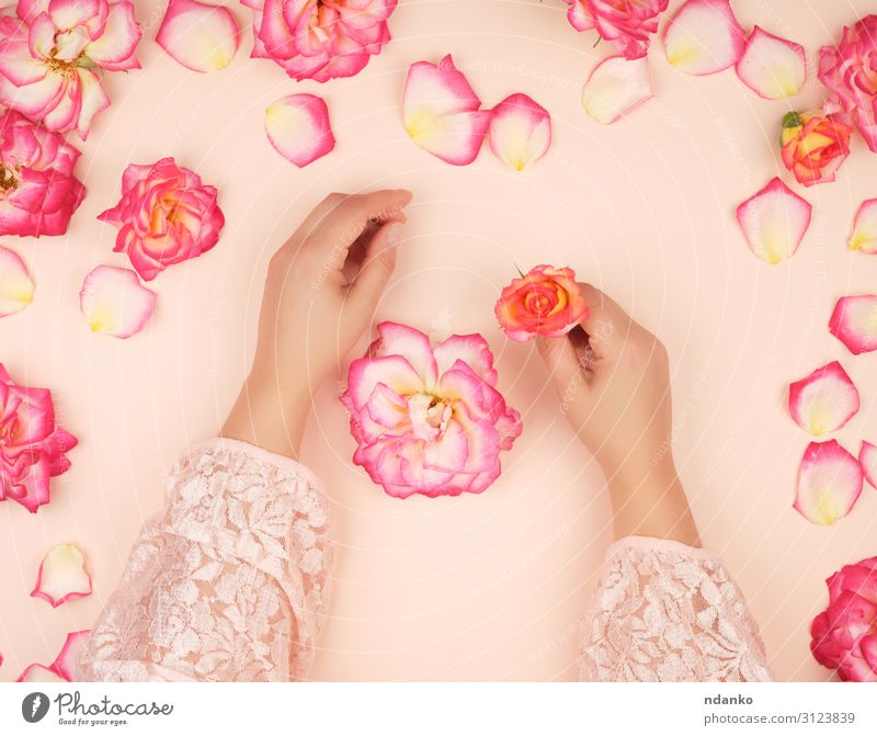 26,400+ Orange Watercolor Flowers Stock Photos, Pictures & Royalty-Free  Images - iStock