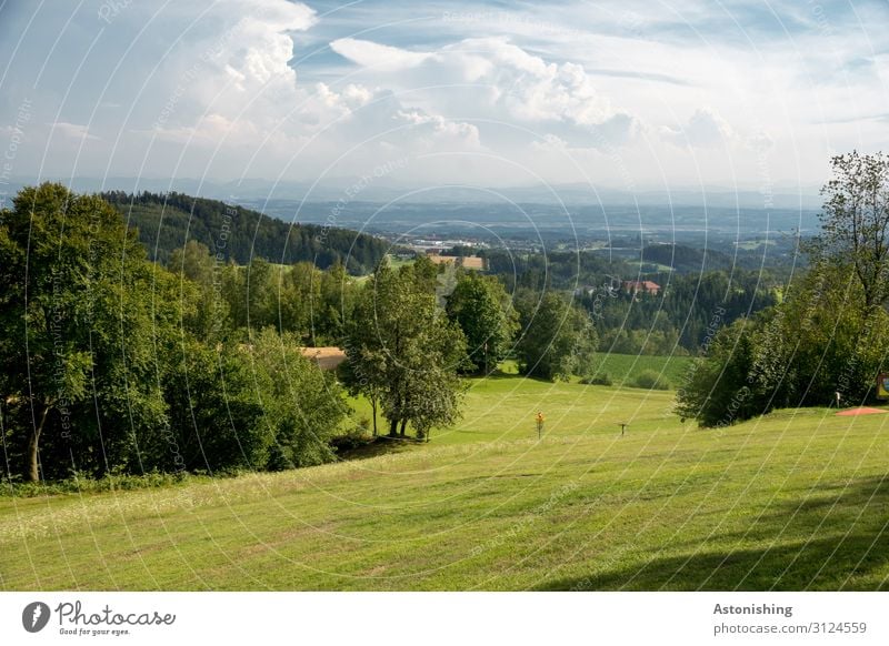 vastness Environment Nature Landscape Plant Air Sky Clouds Horizon Summer Weather Beautiful weather Tree Flower Grass Bushes Meadow Field Hill Alps Austria