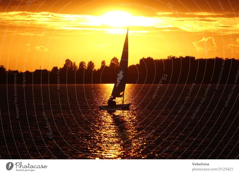 Sailboat on the Veerse sea with evening sun Leisure and hobbies Vacation & Travel Sports Aquatics Sailing Nature Water Ocean Lake Camper Netherlands Europe