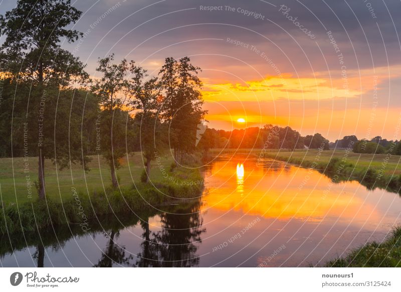 sunset Nature Landscape Plant Water Sky Storm clouds Sunrise Sunset Summer Tree Grass River bank Spree Gray Green Orange Colour photo Exterior shot Evening