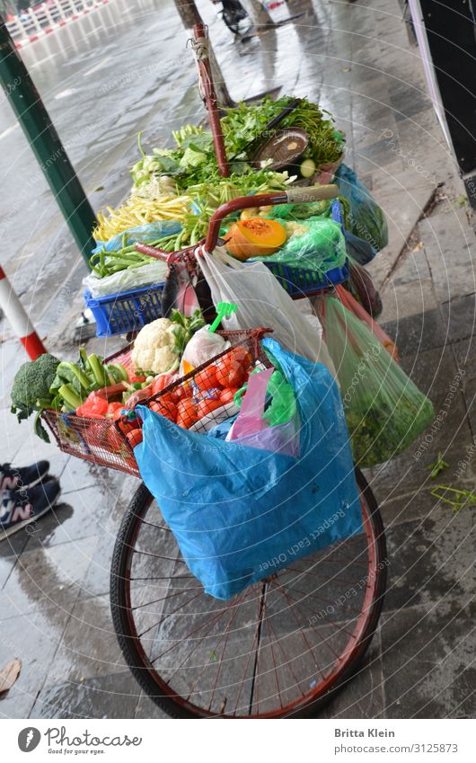 Bicycle sale Food Vegetable Nutrition Vegetarian diet Asian Food Vacation & Travel Trade Cycling Shopping Trolley Select Sell Multicoloured