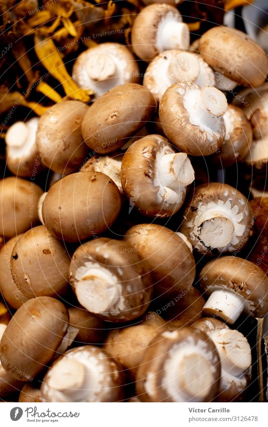 Fresh gastronomy products mushrooms in the market place Food Vegetable Lunch Dinner Organic produce Vegetarian diet Authentic Colour photo Deserted