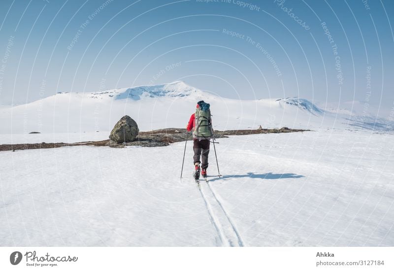 Skier on adventure trip in the north Adventure Far-off places Expedition Winter Snow Mountain Winter sports 1 Human being Nature Ice Frost Norway Ski tracks