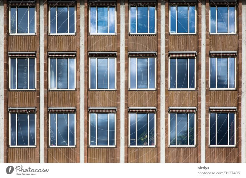 All only facade Town House (Residential Structure) High-rise Building Architecture Facade Window Authentic Blue Brown Gray Design Society Politics and state