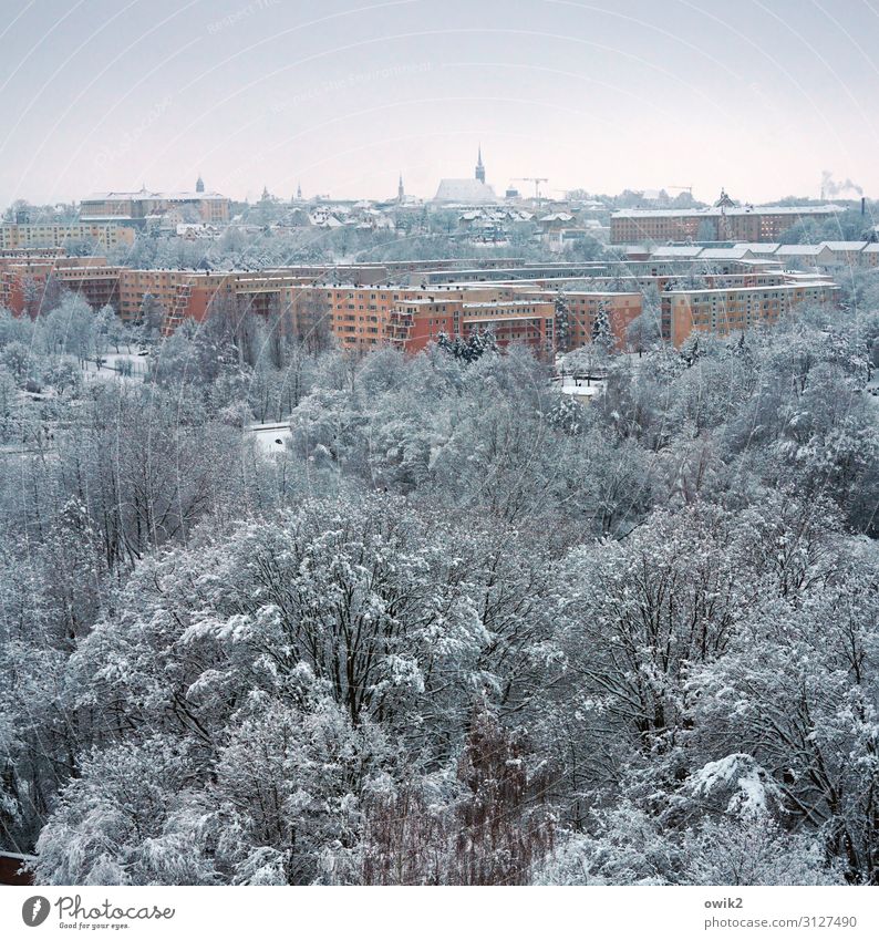 cold city Environment Nature Landscape Sky Winter Beautiful weather Ice Frost Snow Tree Park Forest Bautzen Germany Small Town Downtown Old town Skyline