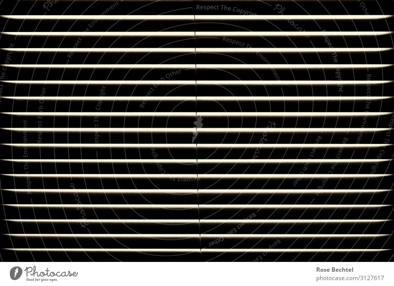 lines Window Dark Arrangement Venetian blinds Contrast darken Shaft of light Closed Black & white photo Interior shot Abstract Pattern Deserted