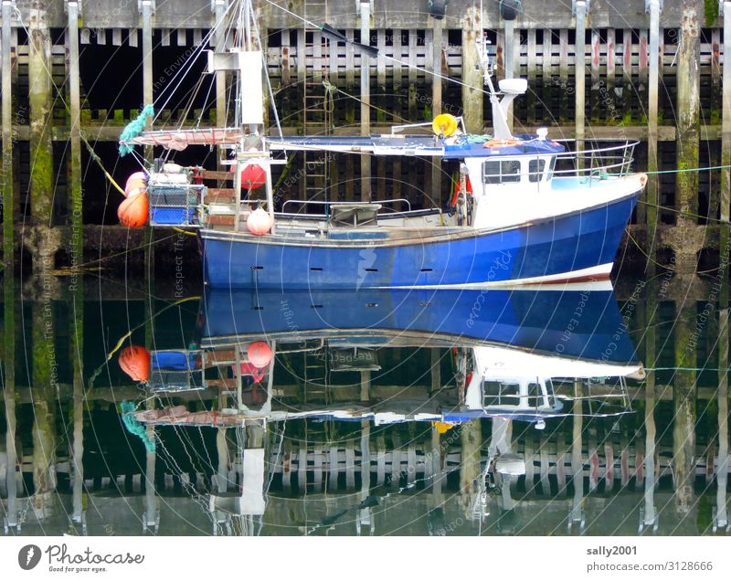...in the safe harbor... Harbour ship boat fish Fishing boat reflection slack windless Calm Low tide Blue Small Water Navigation Reflection Watercraft Fishery