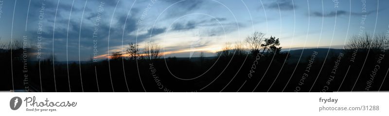 eye in the sky Wide angle Panorama (View) Sunset Tree Clouds Large Panorama (Format)