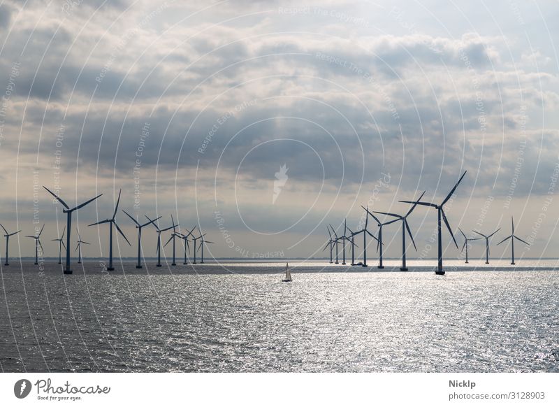 Wind turbines at the Lillgrund offshore wind farm, Sweden/Denmark North Sea Wind energy plant Pinwheel Renewable energy Energy crisis Environment Water