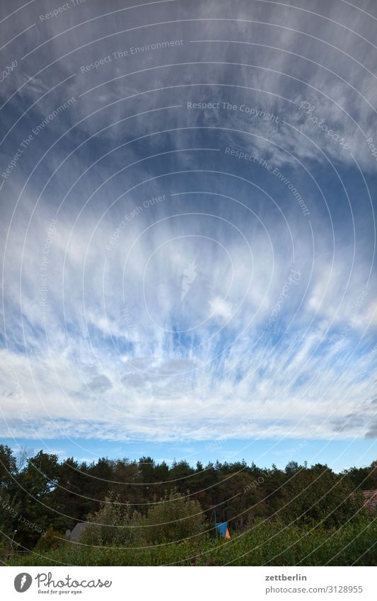 Sky and clouds Heaven Garden plot Garden allotments Deserted Nature Summer Copy Space Depth of field Clouds Wind Weather Meteorology Cirrus Cloud formation