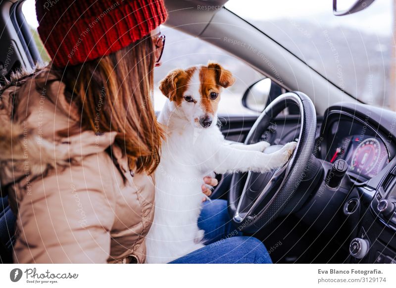 young woman in a car with her cute small jack russell dog Lifestyle Leisure and hobbies Vacation & Travel Trip Winter Human being Feminine Young woman
