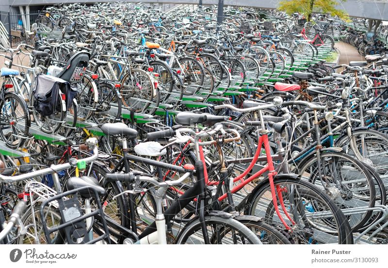 bicycles on special