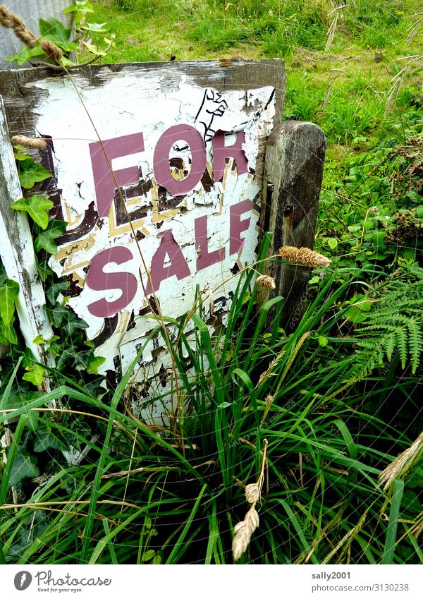 slow-moving Grass Garden Wood Characters Signs and labeling Signage Warning sign Sell Old Original Loneliness Apocalyptic sentiment Decline Transience Derelict