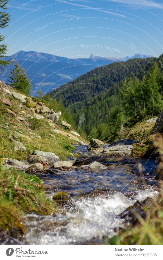 Mountain stream with mountain view Nature Landscape Plant Earth Water Sky Horizon Summer Beautiful weather Grass Alps Warmth Blue Brown Green White Peace