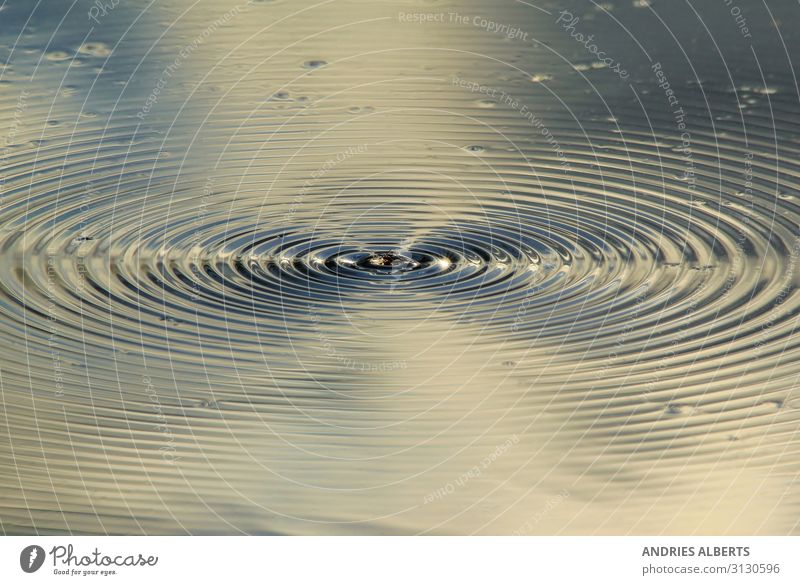 Ripples of Life - Patterns in Nature Sightseeing Education Environment Elements Water Spring Blue Multicoloured Black Silver Turquoise White Willpower Peaceful