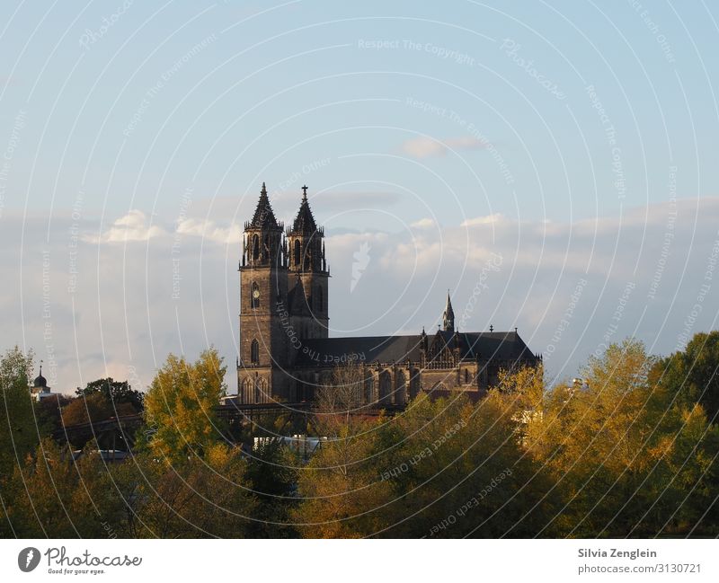 Magdeburg Cathedral Vacation & Travel Tourism Trip City trip Museum Work of art Architecture Town Capital city Church Dome Facade Tourist Attraction Landmark