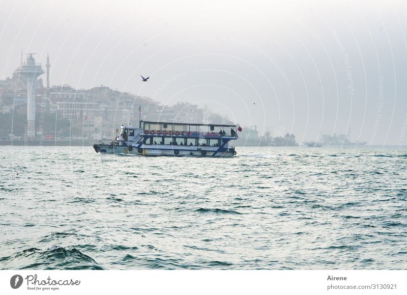 the last boat Tourism Fog Ocean Waterway Istanbul The Bosphorus Ferry Driving Swimming & Bathing Bright Maritime Speed Beautiful White Authentic Wanderlust