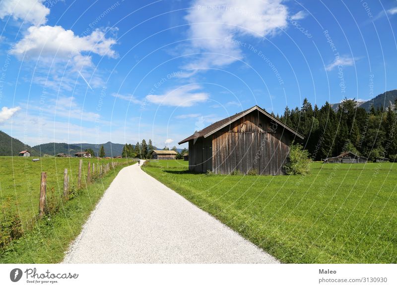 Mountain huts on green meadows in the Alps Austria Bavaria Blue Europe Field Forest Grass Green Hiking Hill Vacation & Travel House (Residential Structure) Hut