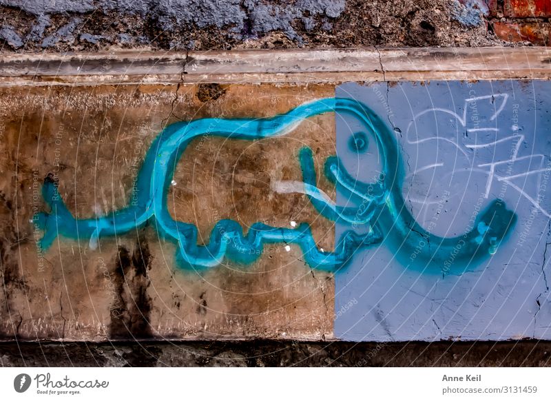 Street elephant Art Painter Wall (barrier) Wall (building) Facade Hip & trendy Blue Brown Turquoise Colour photo Exterior shot Experimental Abstract Deserted