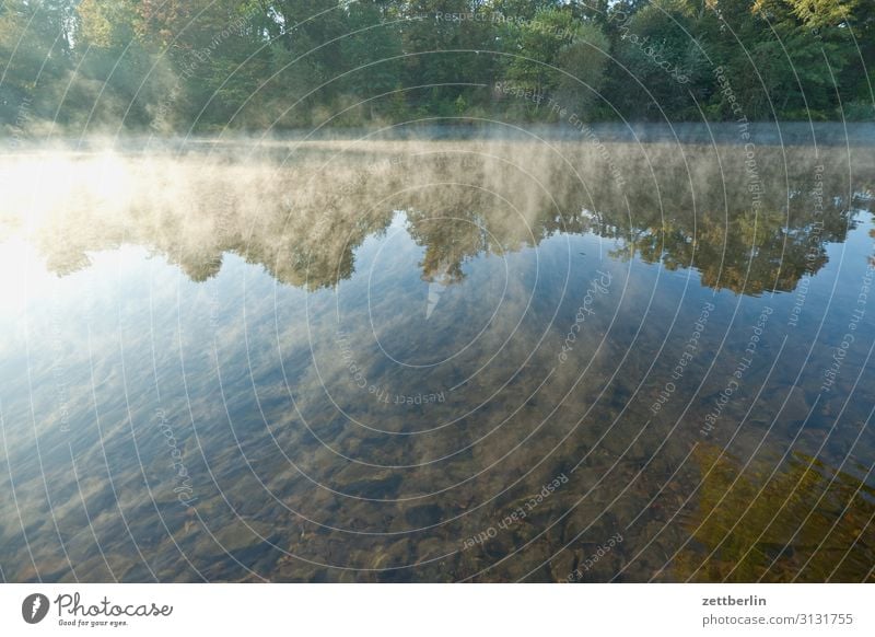 morning mist Berlin Fog Haze River Morning Channel Sunrise Logistics Coast Lakeside River bank Water Surface of water Navigation hohenzollern channel