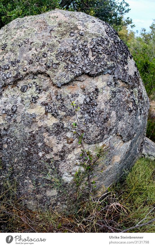 Monolith in Sardinia Geology Aggius Rock Stone Tempio Pausania Landscape granite landscape Valle della Luna Skittle island mountain Mountain Cone gallura