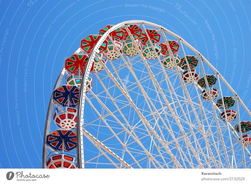 flower wheel Joy Adventure City trip Fairs & Carnivals Cloudless sky Movement Rotate Happiness Large Tall Round Blue Multicoloured Green Red White