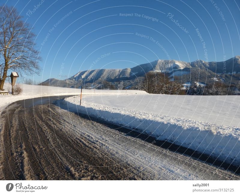 Ice Age | winter equipment required... Landscape Cloudless sky Sunlight Winter Beautiful weather Frost Snow Tree Alps Mountain Samerberg Snowcapped peak