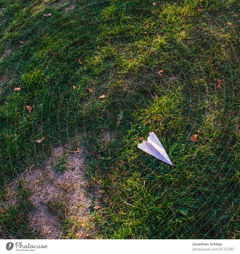 Paper planes on the meadow Autumn Airplane Multicoloured Copy Space top Dream Wrinkles Garden Gardening Grass Meadow Exterior shot Toys Copy Space bottom