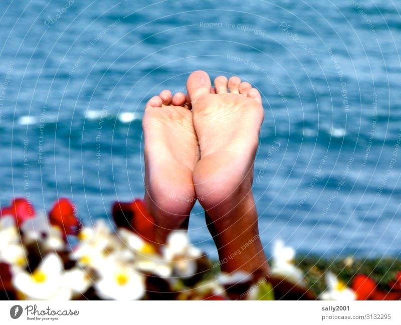barefoot on summer vacation... feet Sole of the foot Toes Water Ocean flowers Flower hedge Barefoot bathe Summer Relaxation holidays blow up upstairs