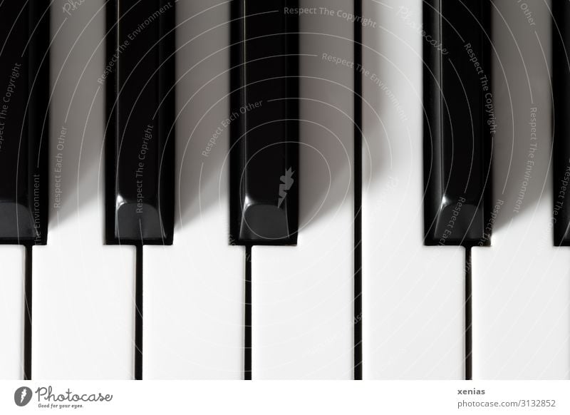 Fingertip sensitivity / Piano keys Keyboard Keyboard instrument Listening Playing Black Music White Senses Intuition Studio shot Detail Make music Passion