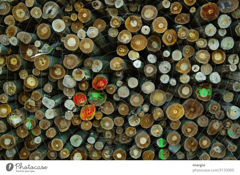 Many logs stacked with markings Energy crisis Environment Nature Tree Forest Save Multicoloured Green Transience Growth Change Future Tree trunk