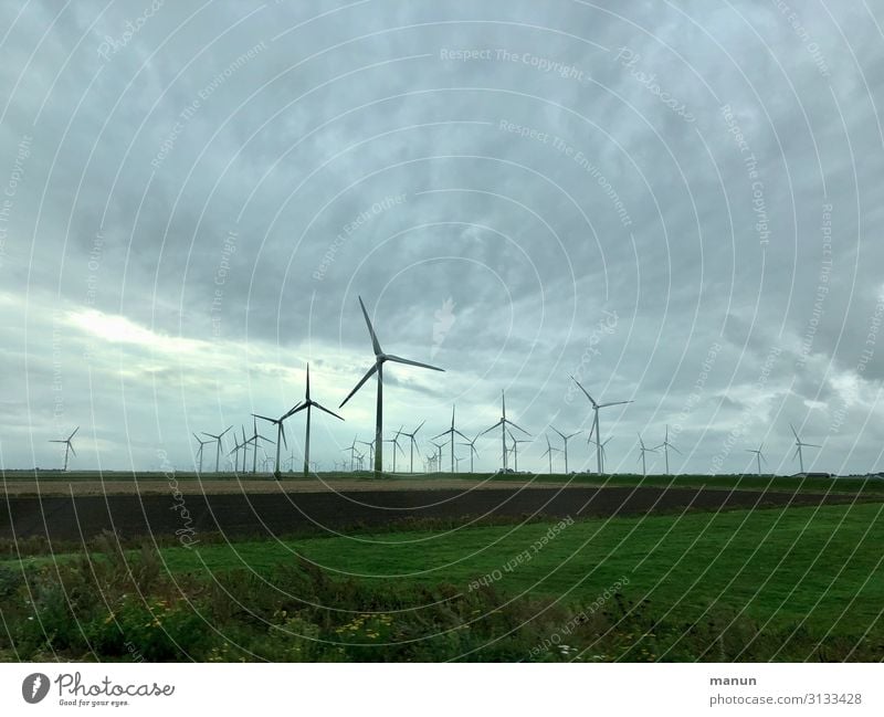 windmills Technology Energy industry Wind energy plant Nature Landscape Climate change Weather Bad weather Field Planning Politics and state Environment